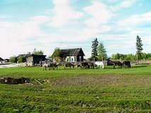 Село Верхнемартыново Село Верхнемартыново