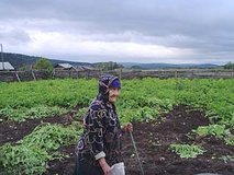 Село Нижнемартыново Село Нижнемартыново