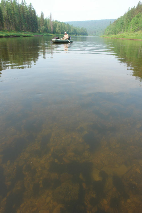 Можно плыть и, как в аквариуме, наблюдать жизнь под водой.